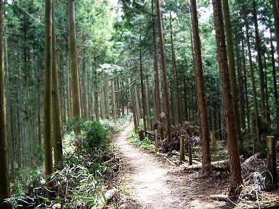 sisun09.jpg