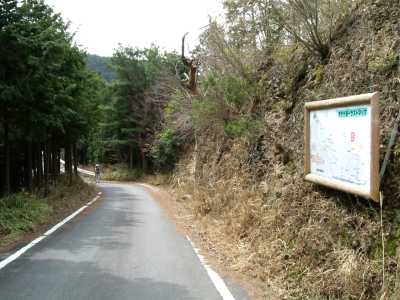 sisun18.jpg