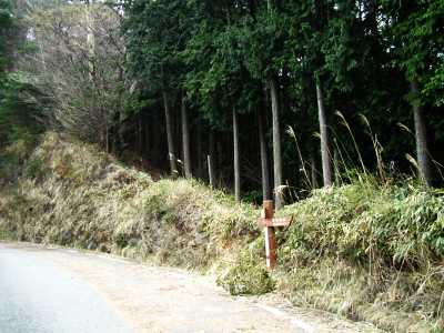 sisun19.jpg