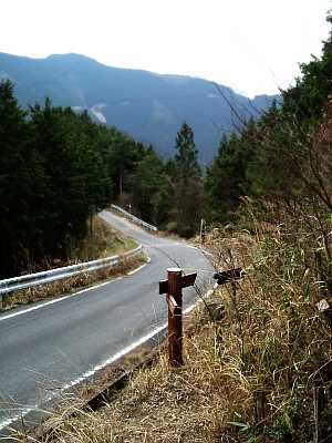 sisun24.jpg