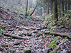 takahati25_thumb.png