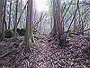 takahati33_thumb.png