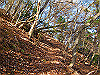 takahati43_thumb.png