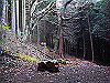 takahati46_thumb.png