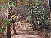 takahati49_thumb.png