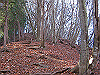 takahati51_thumb.png