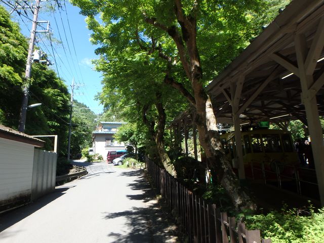 takao03.jpg