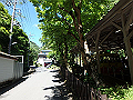 takao03_thumb.png