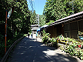 takao05_thumb.png