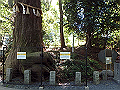 takao34_thumb.png