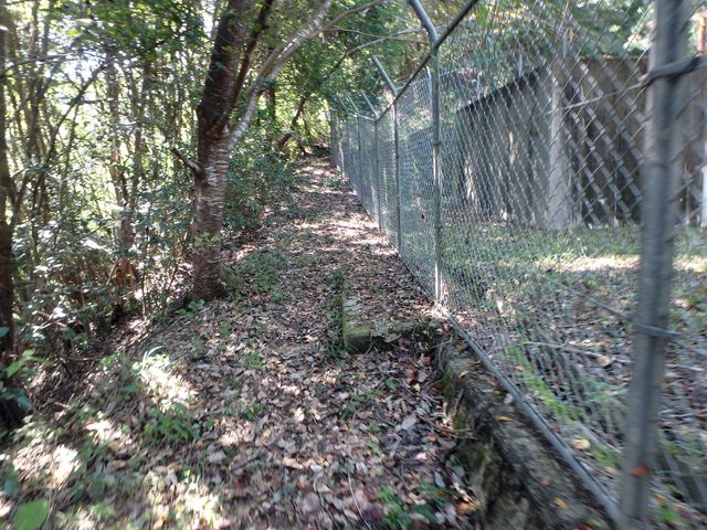 takataki018.jpg