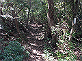 takataki021_thumb.png