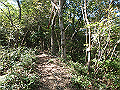 takataki024_thumb.png