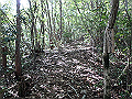 takataki025_thumb.png