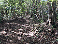 takataki026_thumb.png