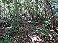 takataki027_thumb.png