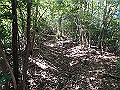 takataki028_thumb.png