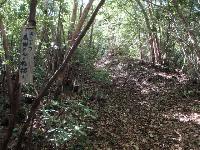 takataki029.jpg