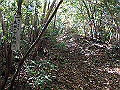 takataki029_thumb.png