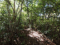 takataki030_thumb.png