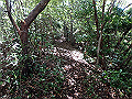 takataki031_thumb.png