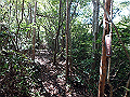takataki032_thumb.png