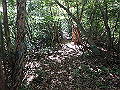 takataki033_thumb.png
