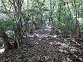 takataki034_thumb.png
