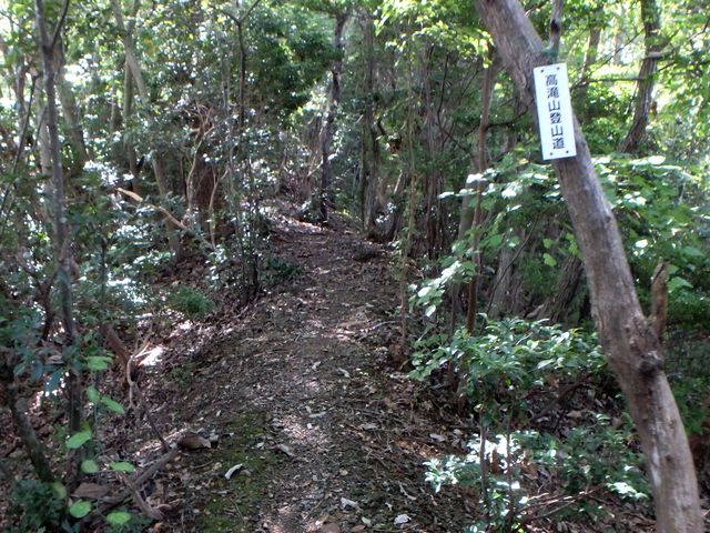 takataki035.jpg