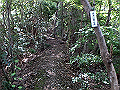 takataki035_thumb.png