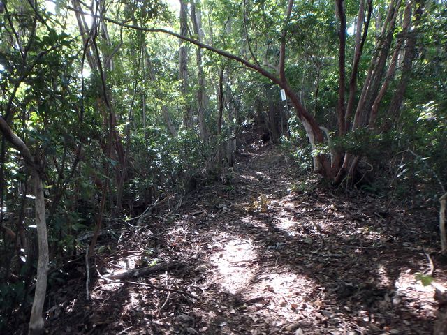 takataki036.jpg