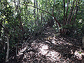 takataki036_thumb.png