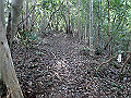 takataki037_thumb.png