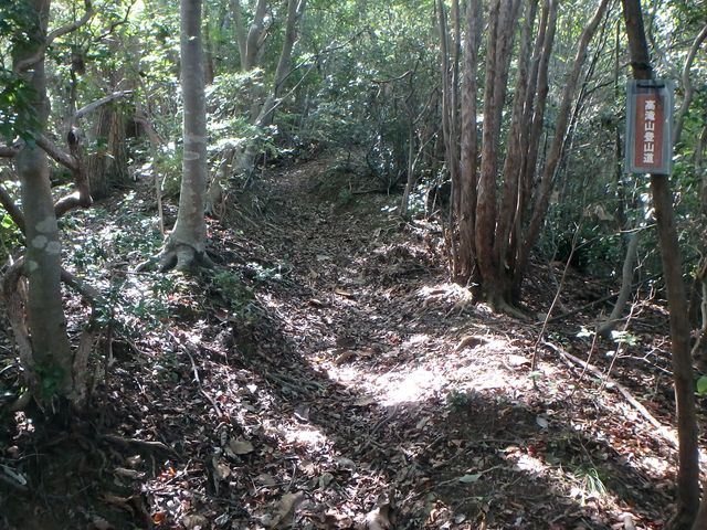 takataki038.jpg