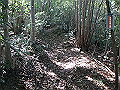 takataki038_thumb.png