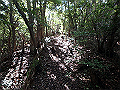 takataki039_thumb.png