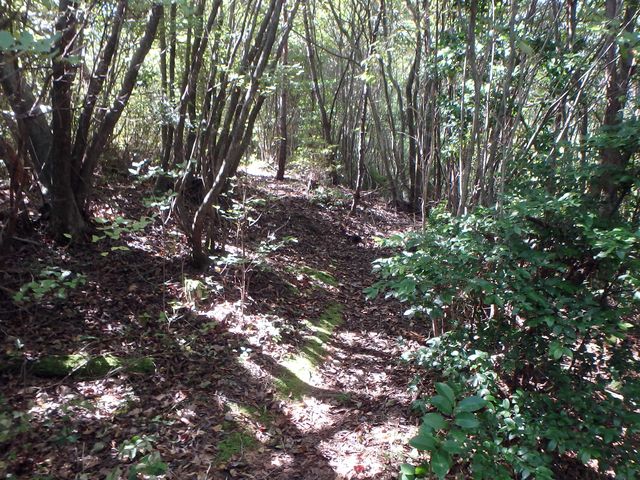 takataki040.jpg