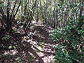 takataki040_thumb.png