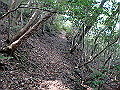 takataki042_thumb.png