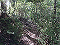 takataki043_thumb.png