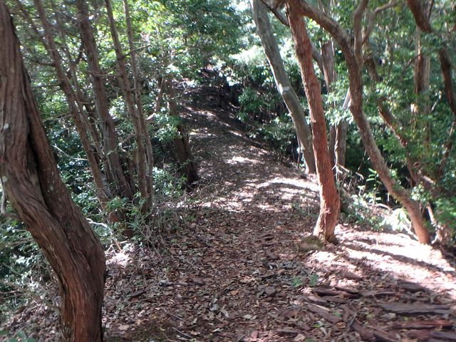 takataki044.jpg