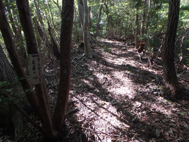 takataki045.jpg