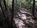 takataki045_thumb.png