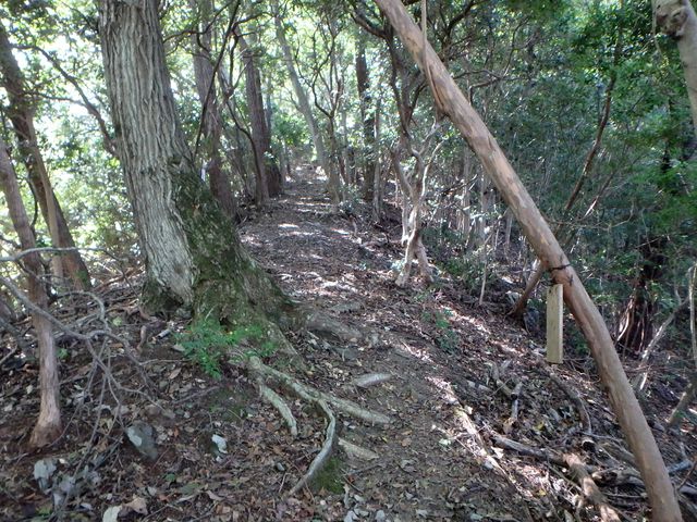 takataki047.jpg