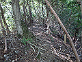 takataki047_thumb.png
