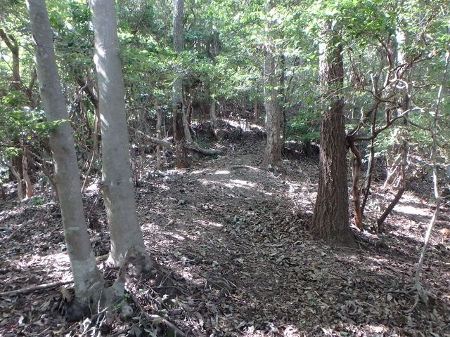 takataki048.jpg