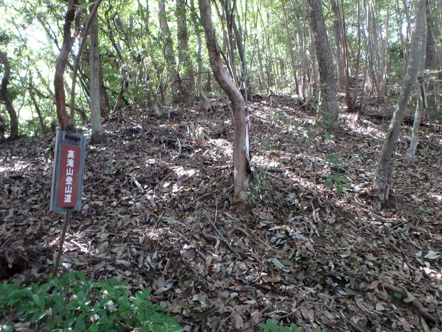 takataki049.jpg