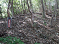 takataki049_thumb.png