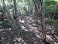 takataki050_thumb.png