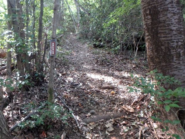 takataki051.jpg